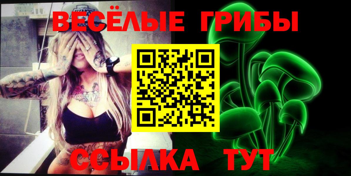 Псилоцибиновые грибы Cubensis  Вход с VPN  Выборг 
