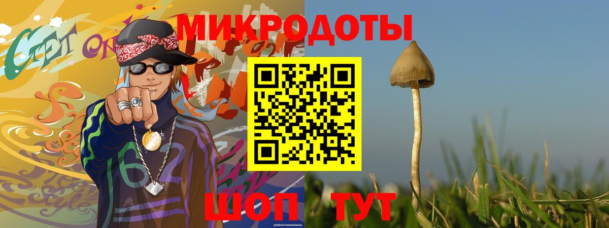 Галлюциногенные грибы мухоморы Выборг