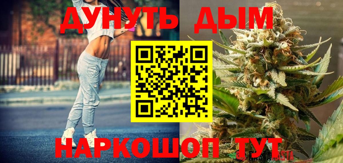 МАРИХУАНА план  Вход с VPN  Выборг  Канабис SATIVA & INDICA 